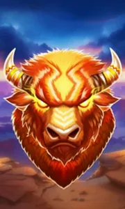 Bison Storm