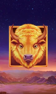 Buffalo's Sun